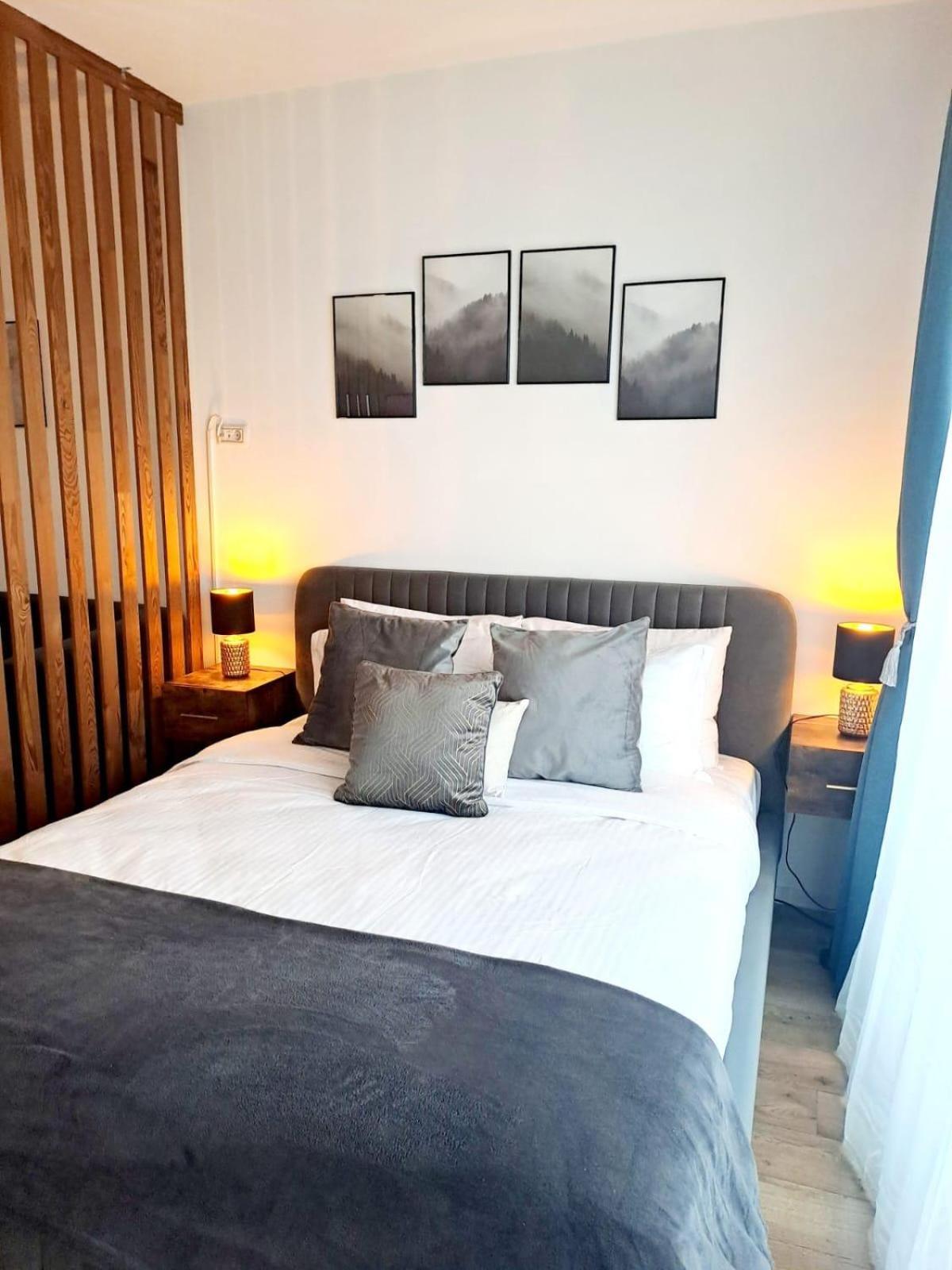 Mountain Breeze Luxury Apartment Ac & Parcare Privata Brasov Ngoại thất bức ảnh